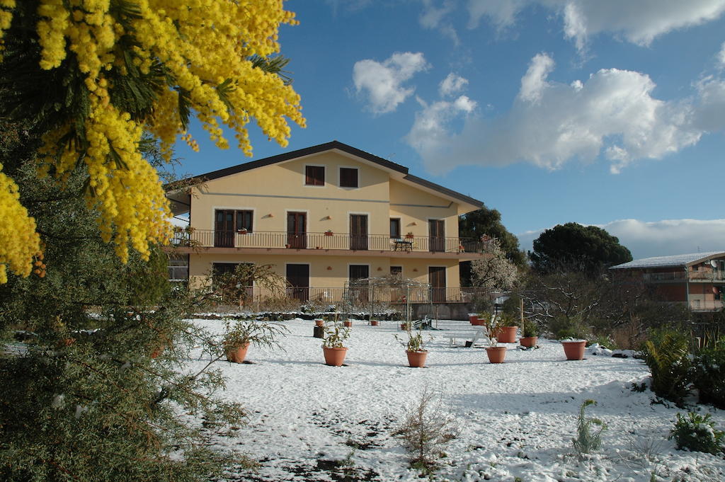 Etna Torre Del Grifo Bed and Breakfast Mascalucia Zewnętrze zdjęcie